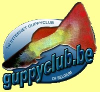 guppyclup.be