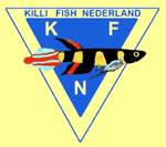 Link killifish Nederland
