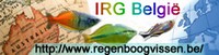 IRG Belgie web banner